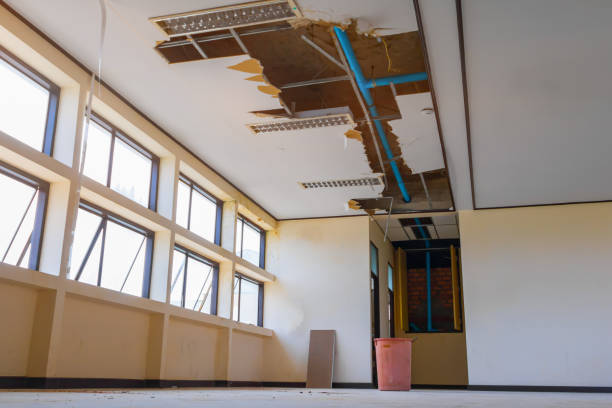 Best Sewage cleanup and water damage restoration  in Bethel, OH