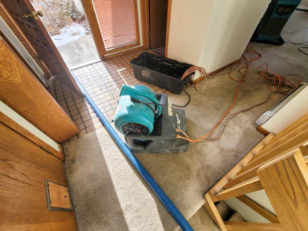 Best 24/7 water damage repair  in Bethel, OH
