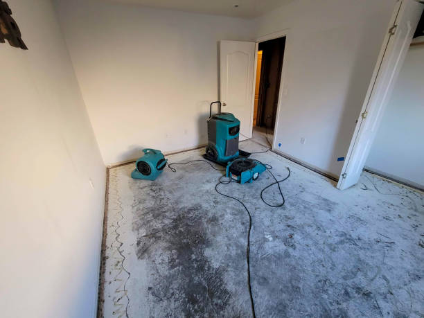 Best Basement water damage restoration  in Bethel, OH