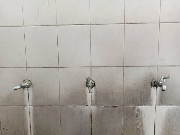 Bethel, OH Water damage restoration Pros