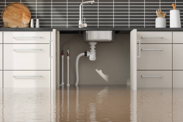 Best Mold removal after water damage  in Bethel, OH
