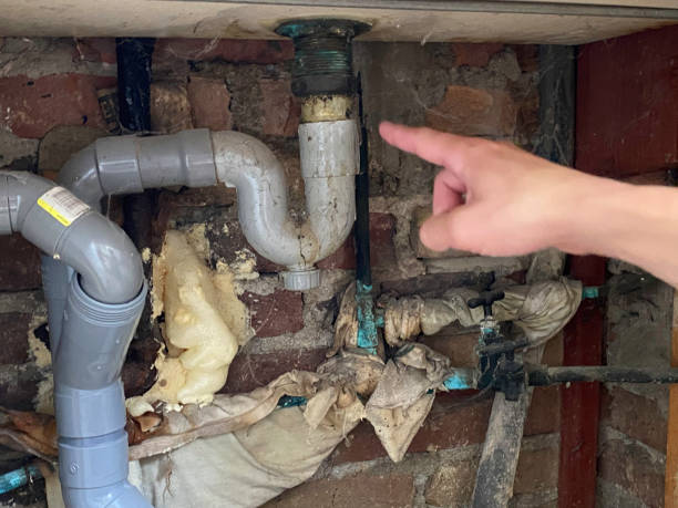 Best Carpet water damage restoration  in Bethel, OH